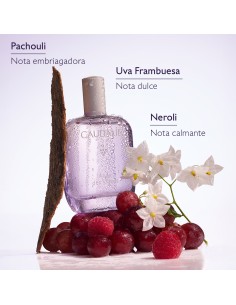 Caudalie Ange des Vignes Agua De Perfume 50 ml 2