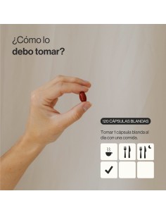 Zenement CoQ10 120 cápsulas 2